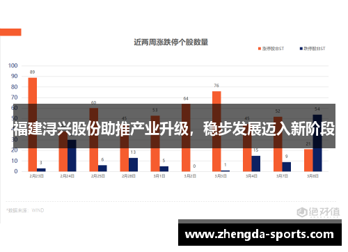 福建浔兴股份助推产业升级，稳步发展迈入新阶段